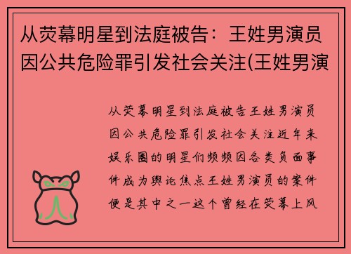 从荧幕明星到法庭被告：王姓男演员因公共危险罪引发社会关注(王姓男演员名单)