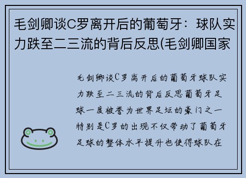 毛剑卿谈C罗离开后的葡萄牙：球队实力跌至二三流的背后反思(毛剑卿国家队)