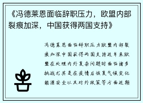 《冯德莱恩面临辞职压力，欧盟内部裂痕加深，中国获得两国支持》