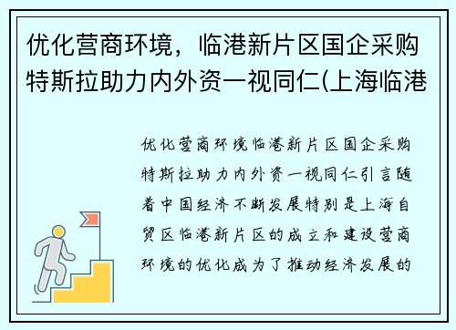 优化营商环境，临港新片区国企采购特斯拉助力内外资一视同仁(上海临港特斯拉配套公司)